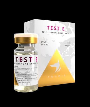 Anubis Testosteron Enanthat 250 Mg 1 x 10ml